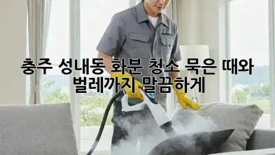 충주 성내동 화분 청소, 묵은 때와 벌레까지 말끔하게!